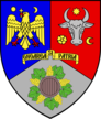Logo Consiliul Judetean